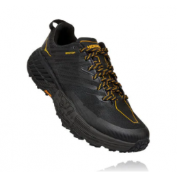 HOKA SPEEDGOAT 4 GORE-TEX...