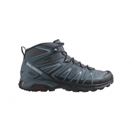 SALOMON X ULTRA PIONEER MID...